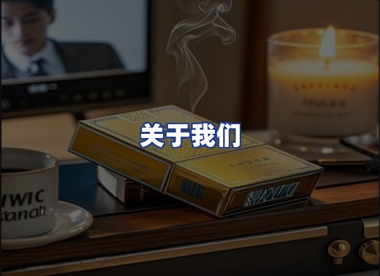 专业团队